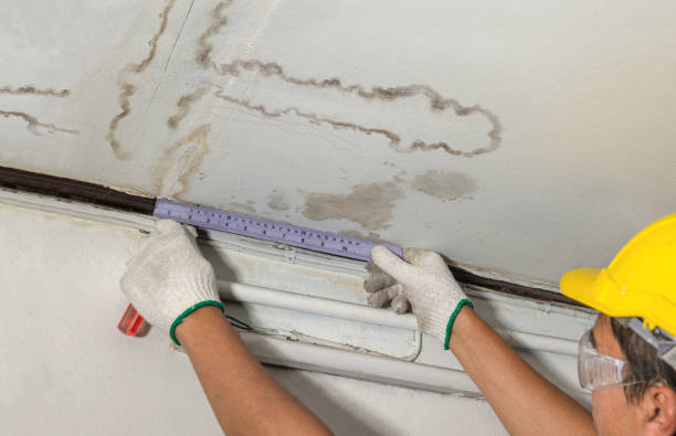 Reliable Mold Remediation contractor in Lubec, ME by Water Damage Irwin